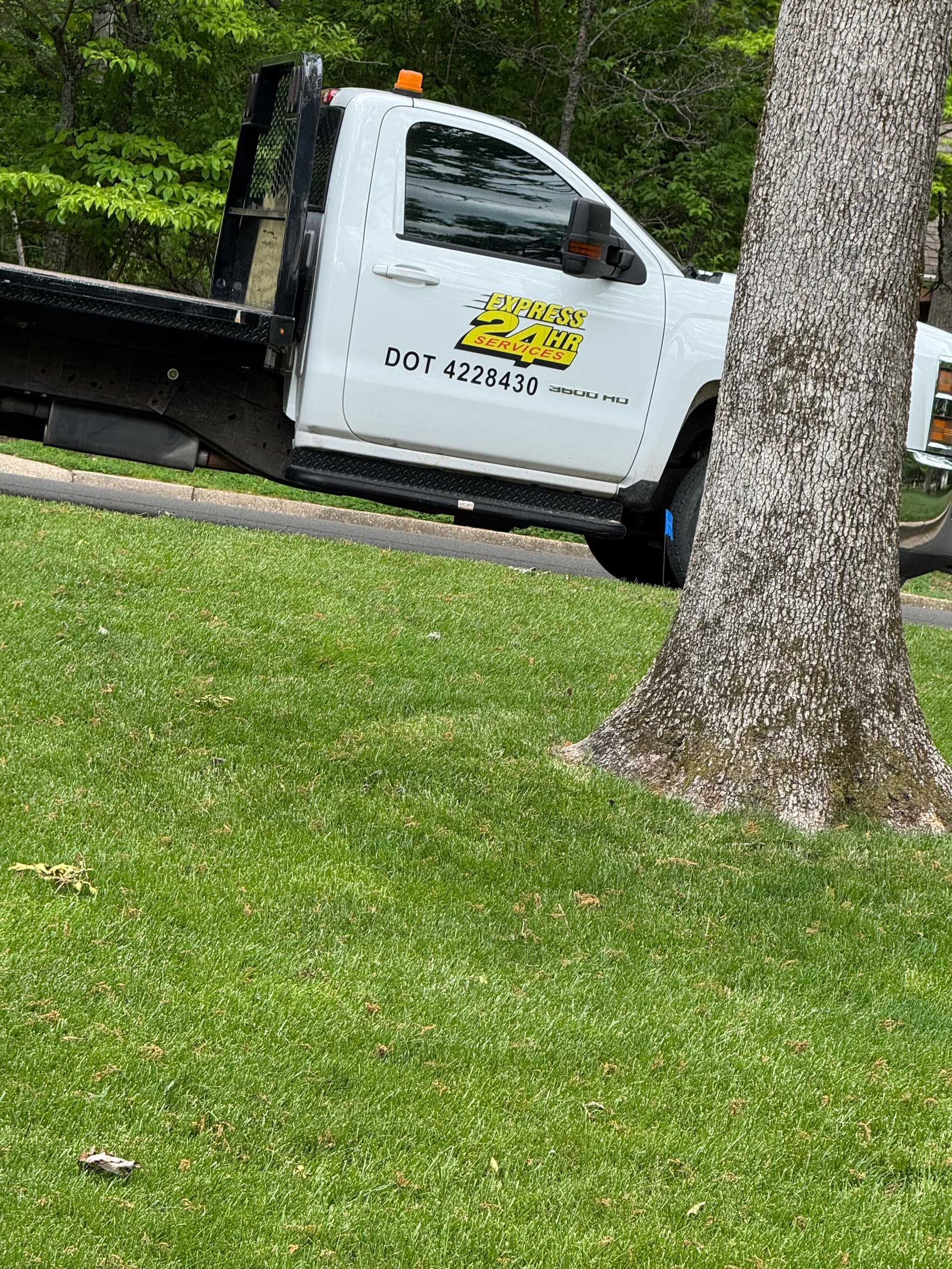 Gallery photos for Main Sanitary Sewer Line Repair Done Right: Image #1