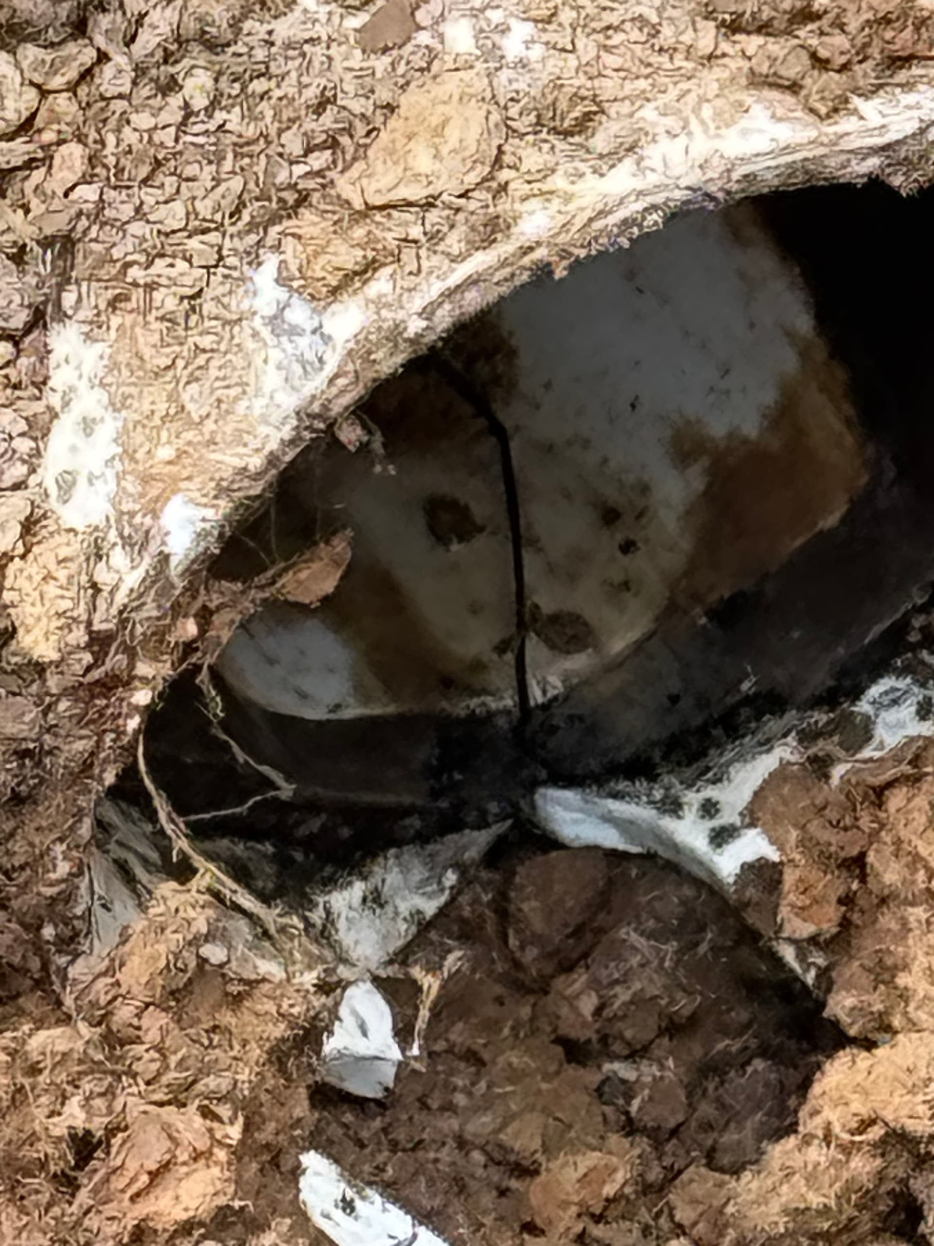 Gallery photos for Main Sanitary Sewer Line Repair Done Right: Image #2